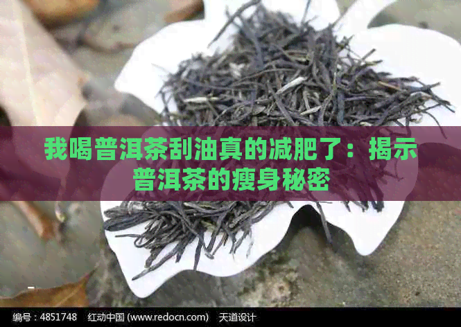 我喝普洱茶刮油真的减肥了：揭示普洱茶的瘦身秘密