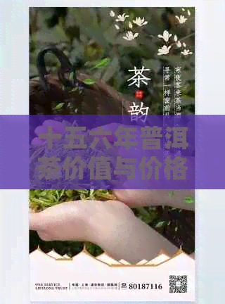 十五六年普洱茶价值与价格分析：15年普洱茶盒装售价是多少？