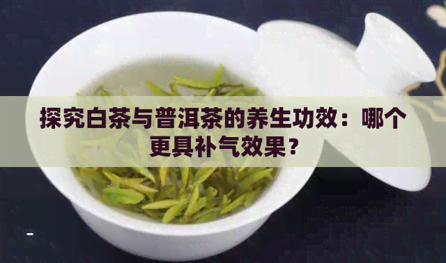 探究白茶与普洱茶的养生功效：哪个更具补气效果？