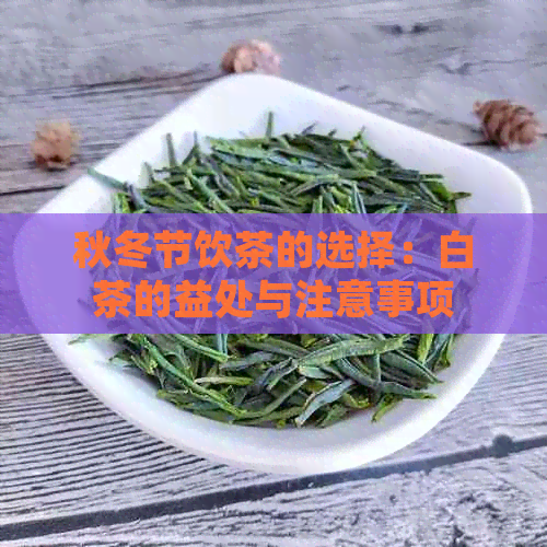 秋冬节饮茶的选择：白茶的益处与注意事项