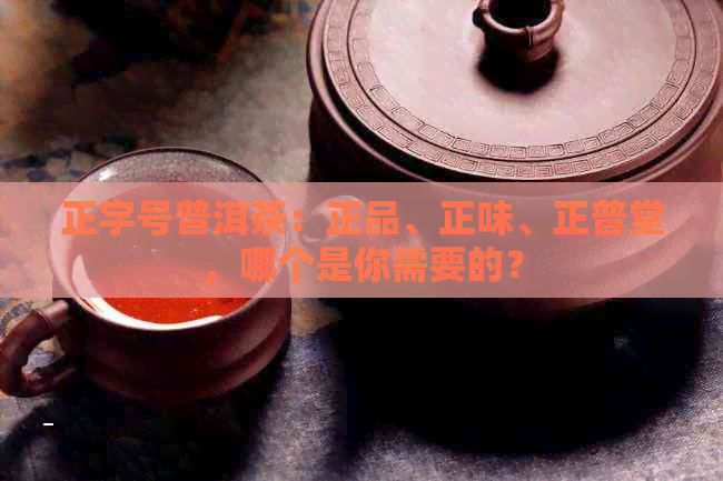 正字号普洱茶：正品、正味、正普堂，哪个是你需要的？