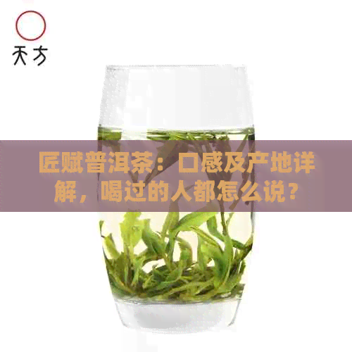 匠赋普洱茶：口感及产地详解，喝过的人都怎么说？