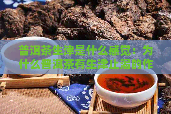 普洱茶生津是什么感觉：为什么普洱茶有生津止渴的作用？