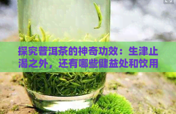 探究普洱茶的神奇功效：生津止渴之外，还有哪些健益处和饮用注意事项？