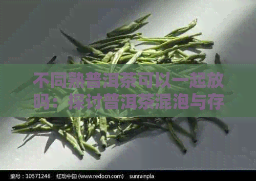 不同熟普洱茶可以一起放吗：探讨普洱茶混泡与存的可能性