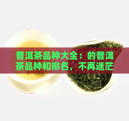 普洱茶品种大全：的普洱茶品种和排名，不再迷茫！