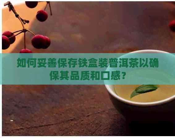 如何妥善保存铁盒装普洱茶以确保其品质和口感？