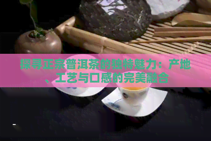 探寻正宗普洱茶的独特魅力：产地、工艺与口感的完美融合