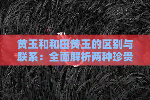 黄玉和和田黄玉的区别与联系：全面解析两种珍贵石材的特点及选购技巧