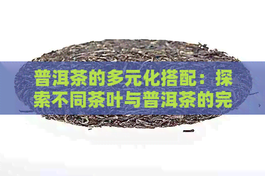 普洱茶的多元化搭配：探索不同茶叶与普洱茶的完美融合