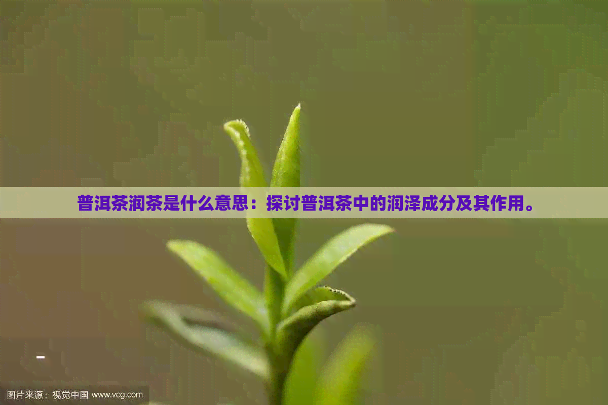 普洱茶润茶是什么意思：探讨普洱茶中的润泽成分及其作用。