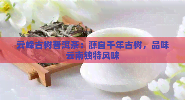 云峰古树普洱茶：源自千年古树，品味云南独特风味