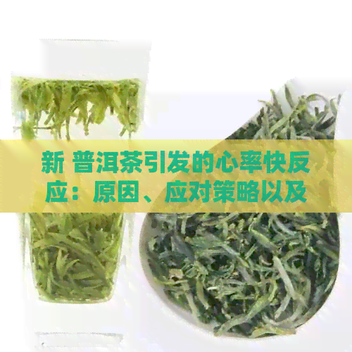 新 普洱茶引发的心率快反应：原因、应对策略以及适合的替代品