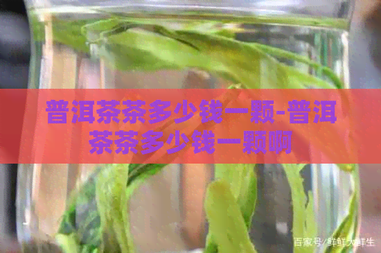 普洱茶茶多少钱一颗-普洱茶茶多少钱一颗啊