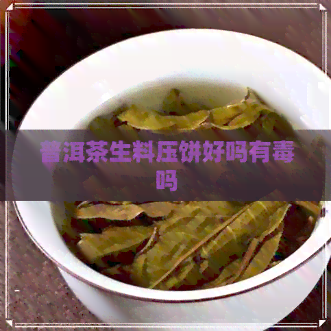 普洱茶生料压饼好吗有吗