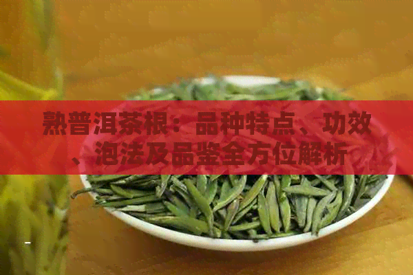 熟普洱茶根：品种特点、功效、泡法及品鉴全方位解析