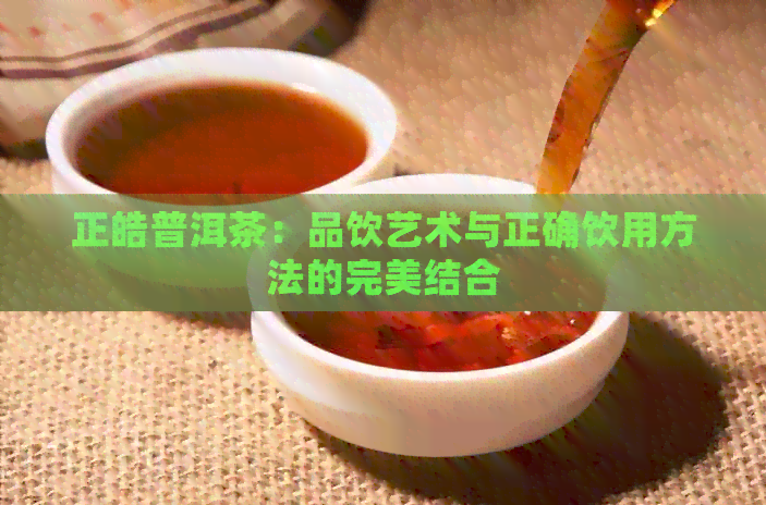 正皓普洱茶：品饮艺术与正确饮用方法的完美结合