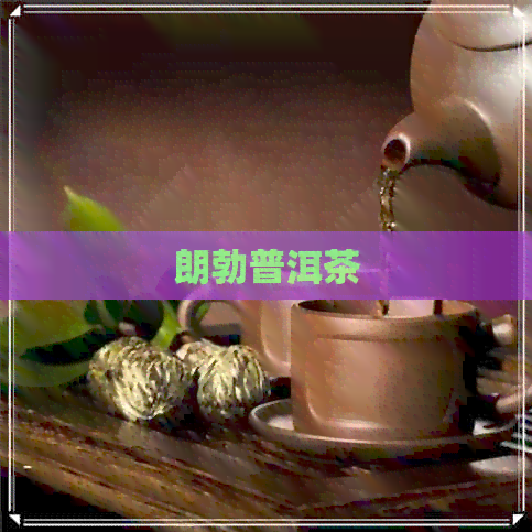 朗勃普洱茶