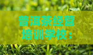 普洱茶经营培训学校：全面掌握茶叶经营管理技能，提升店铺盈利能力