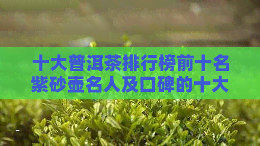 十大普洱茶排行榜前十名紫砂壶名人及口碑的十大普洱茶