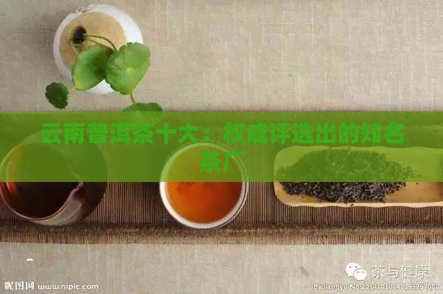 云南普洱茶十大：权威评选出的知名茶厂