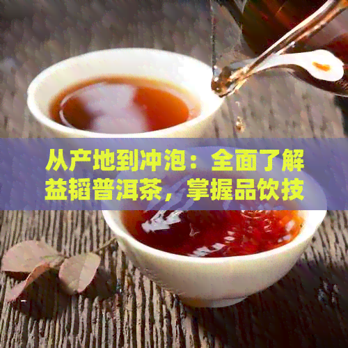 从产地到冲泡：全面了解益韬普洱茶，掌握品饮技巧与功效