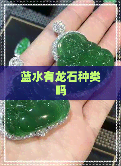 蓝水有龙石种类吗