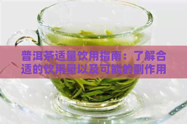 普洱茶适量饮用指南：了解合适的饮用量以及可能的副作用