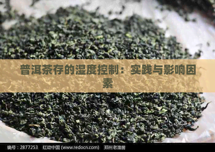 普洱茶存的湿度控制：实践与影响因素