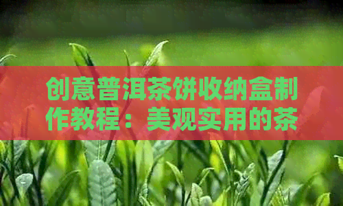 创意普洱茶饼收纳盒制作教程：美观实用的茶饼收纳神器