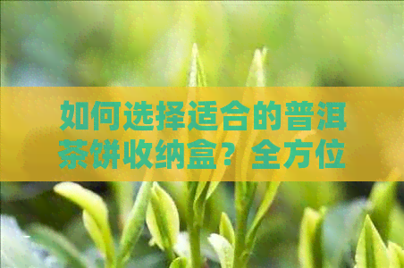 如何选择适合的普洱茶饼收纳盒？全方位攻略解析