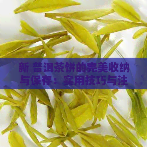 新 普洱茶饼的完美收纳与保存：实用技巧与注意事项