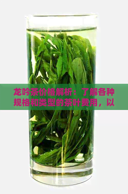 龙吟茶价格解析：了解各种规格和类型的茶叶费用，以及购买建议