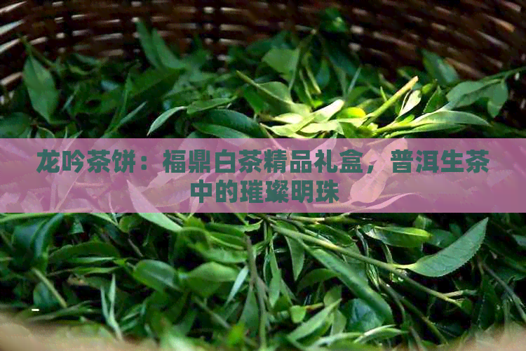 龙吟茶饼：福鼎白茶精品礼盒，普洱生茶中的璀璨明珠