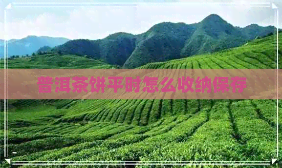 普洱茶饼平时怎么收纳保存