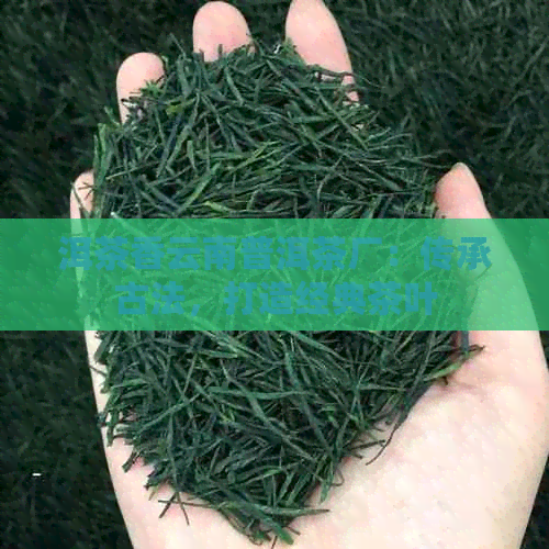 洱茶香云南普洱茶厂：传承古法，打造经典茶叶