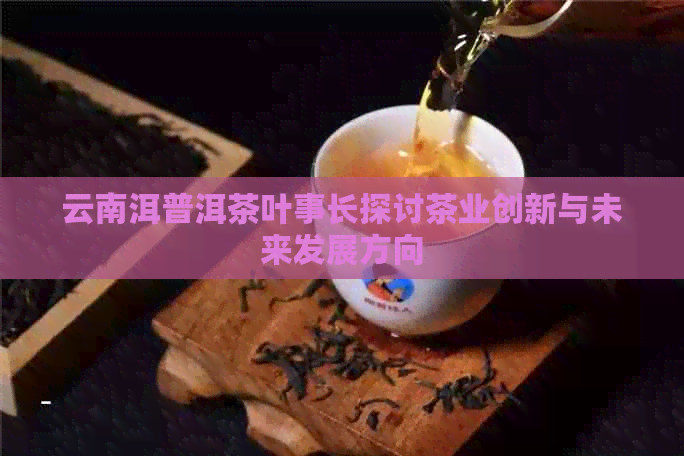 云南洱普洱茶叶事长探讨茶业创新与未来发展方向