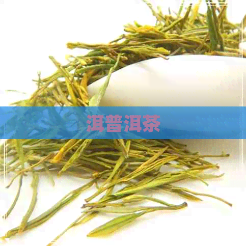 洱普洱茶