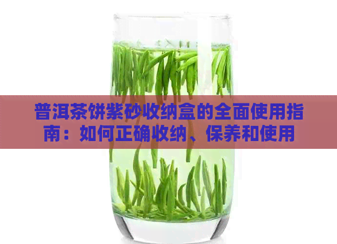 普洱茶饼紫砂收纳盒的全面使用指南：如何正确收纳、保养和使用