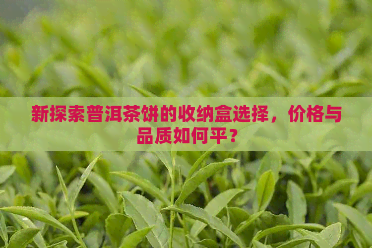 新探索普洱茶饼的收纳盒选择，价格与品质如何平？