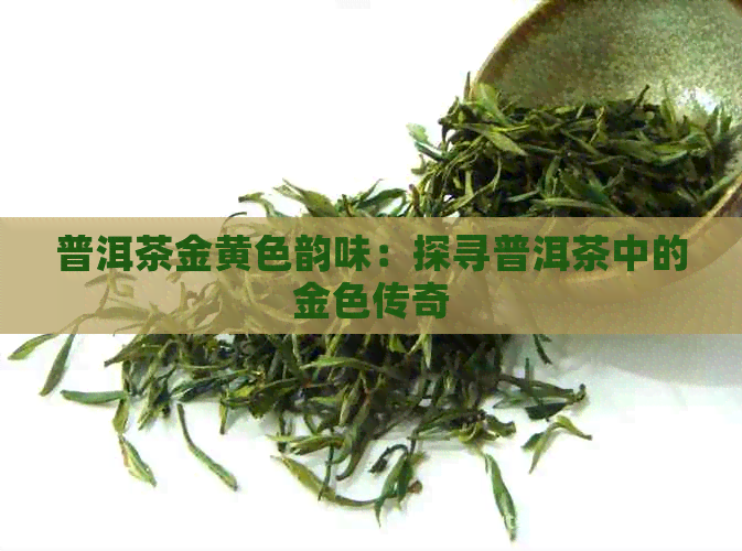 普洱茶金黄色韵味：探寻普洱茶中的金色传奇