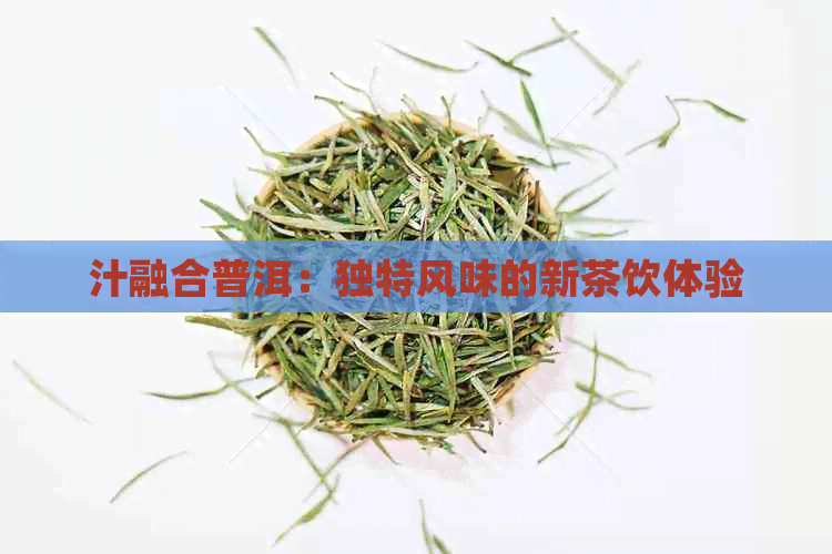 汁融合普洱：独特风味的新茶饮体验