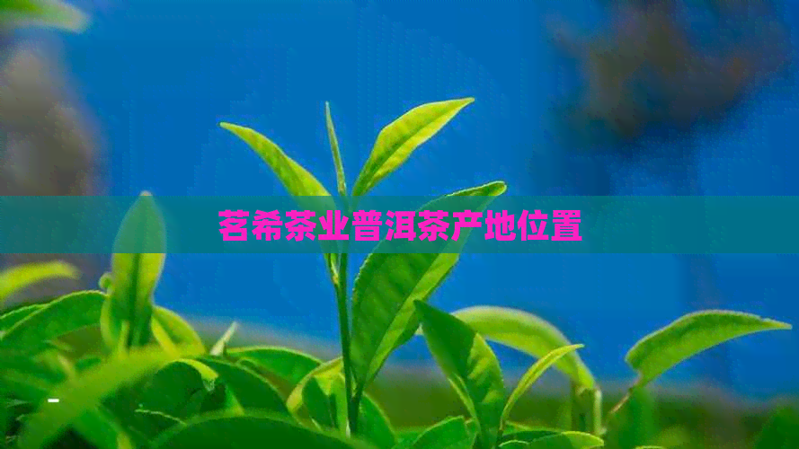 茗希茶业普洱茶产地位置