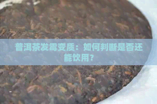 普洱茶发霉变质：如何判断是否还能饮用？