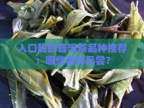 入口甜的普洱茶品种推荐：哪些值得品尝？