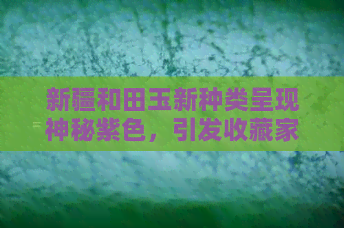 新疆和田玉新种类呈现神秘紫色，引发收藏家狂热追捧