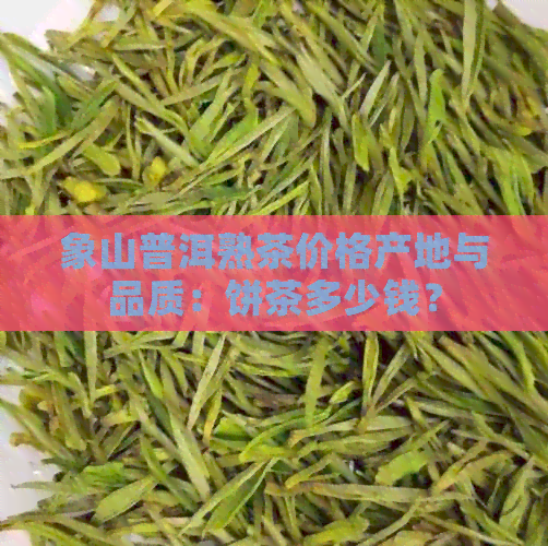 象山普洱熟茶价格产地与品质：饼茶多少钱？