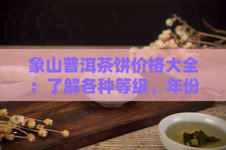 象山普洱茶饼价格大全：了解各种等级、年份和产地的茶叶饼的价格信息