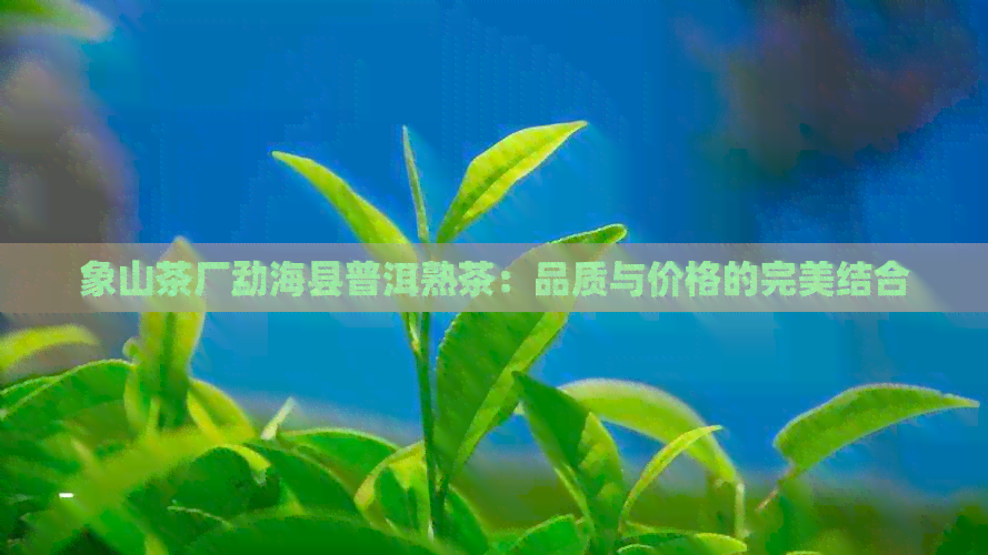 象山茶厂勐海县普洱熟茶：品质与价格的完美结合