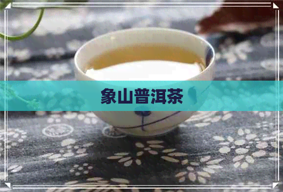 象山普洱茶